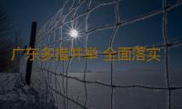 广东多措并举 全面落实“9·24金融新政” 